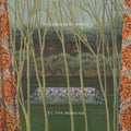 the album cover for Catenary Wires - Til the Morning