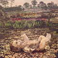 the album cover for Pau Riba - Dioptria