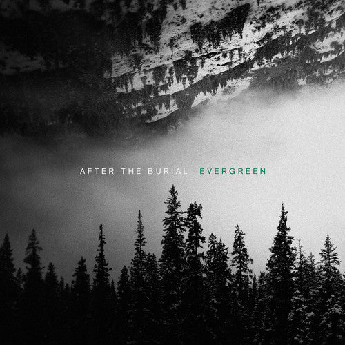 the album cover for After The Burial - Evergreen [LP]
