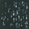 the album cover for Sightings - Amusers and Puzzlers