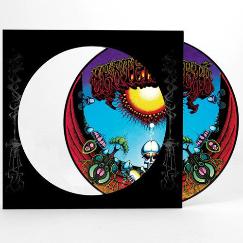 the album cover for Grateful Dead - Aoxomoxoa: 50th Anniversary [Deluxe Edition Picture Disc LP]