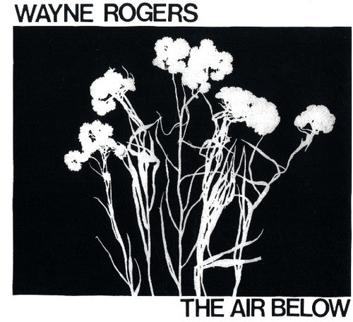 the album cover for Wayne Rogers - Air Below