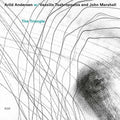 the album cover for Arild Andersen / Tsabropoulos,Vassilis / Marshall - The Triangle