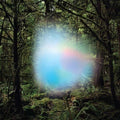 the album cover for Ghosts of the Forest - Ghosts of the Forest [Deluxe Limited Edition 2LP]