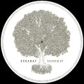 the album cover for Apparat - Silizium