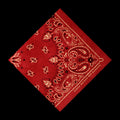 the album cover for Aaron Watson - Red Bandana