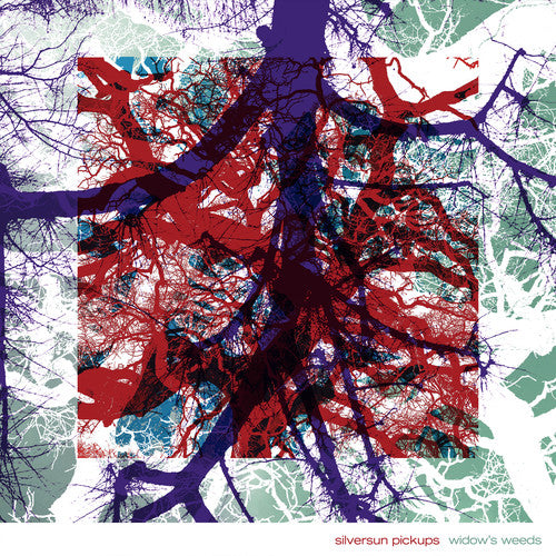the album cover for Silversun Pickups - Widow's Weeds