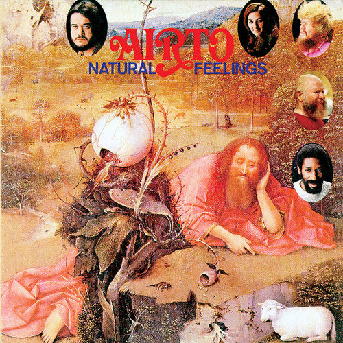 the album cover for Airto - Natural Feelings (Blk) [Limited Edition] [180 Gram]