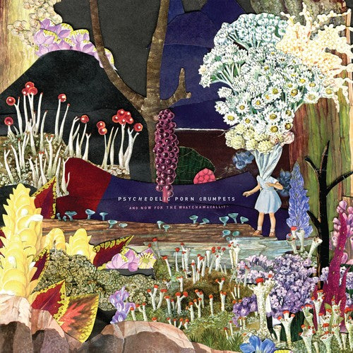 the album cover for Psychedelic Porn Crumpets - And Now For The Whatchamacallit [Digipak]