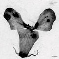 the album cover for Lucy - Dyscamupia