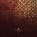 the album cover for CASPIAN - Tertia