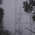 the album cover for Photay - On Hold