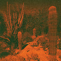 the album cover for Cameron Knowler  / Winter,Eli - Anticipation