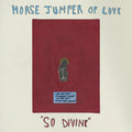 the album cover for Horse Jumper Of Love - So Divine