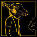 the album cover for Shakey Graves - Roll The Bones X