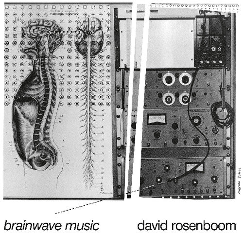 the album cover for David Rosenboom - Brainwave Music