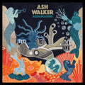 the album cover for Ash Walker - Aquamarine