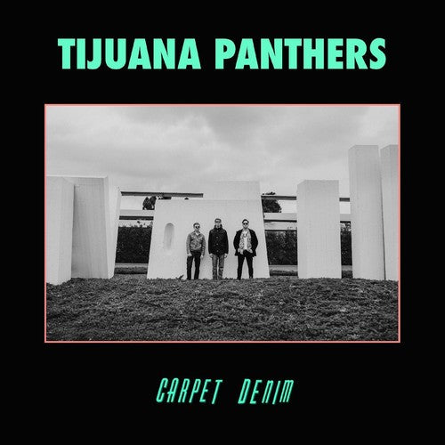 the album cover for Tijuana Panthers - Carpet Denim