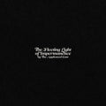 the album cover for Appleseed Cast - The Fleeting Light Of Impermanece