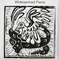 the album cover for Widespread Panic - Widespread Panic [Limited Edition Green & White 2LP]