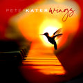 the album cover for Peter Kater - Wings