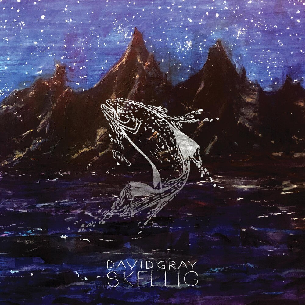 the album cover for David Gray - Skellig [LP]