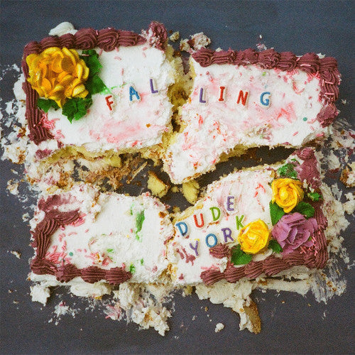 the album cover for Dude York - Falling