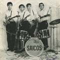 the album cover for Los Saicos - Demolicion