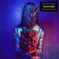 the album cover for Jane Getter Premonition - Anomalia