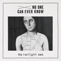 the album cover for Twilight Sad - No One Can Ever Know' (Burgundy Vinyl)