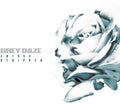 the album cover for Grey Daze - Amends...Stripped EP [Vinyl]