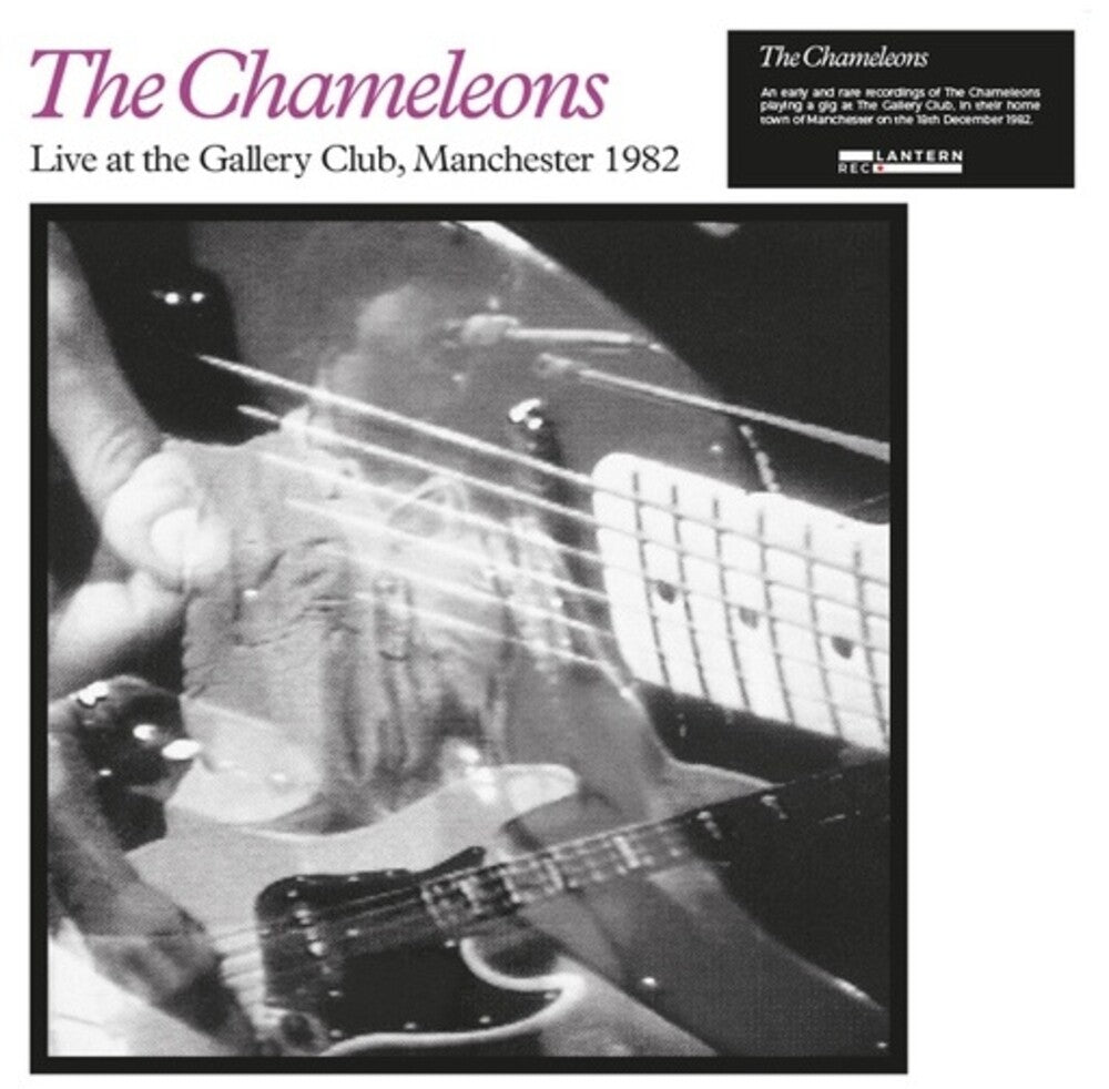 the album cover for Chameleons - Live at the Gallery Club
