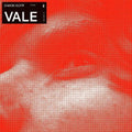 the album cover for Simon Goff - Vale