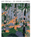 the album cover for Will Stratton - Changing Wilderness