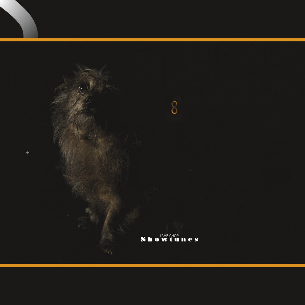 the album cover for Lambchop - Showtunes [Indie Exclusive Limited Edition Translucent Orange LP]