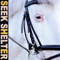 the album cover for Iceage - Seek Shelter