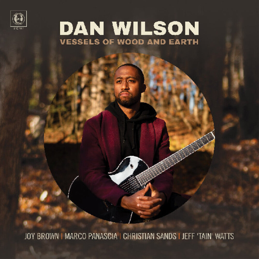 the album cover for Dan Wilson - Vessels Of Wood And Earth