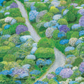 the album cover for Fiddlehead - Between The Richness [Limited Edition White & Purple LP]