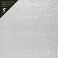 the album cover for Iron And Wine - Archive Series Volume No 5: Tallahassee Recordings
