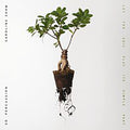 the album cover for Caroline Shaw - Let the Soil Play Its Simple Part [LP]