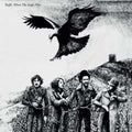 the album cover for Traffic - When The Eagle Flies: Remastered [LP]