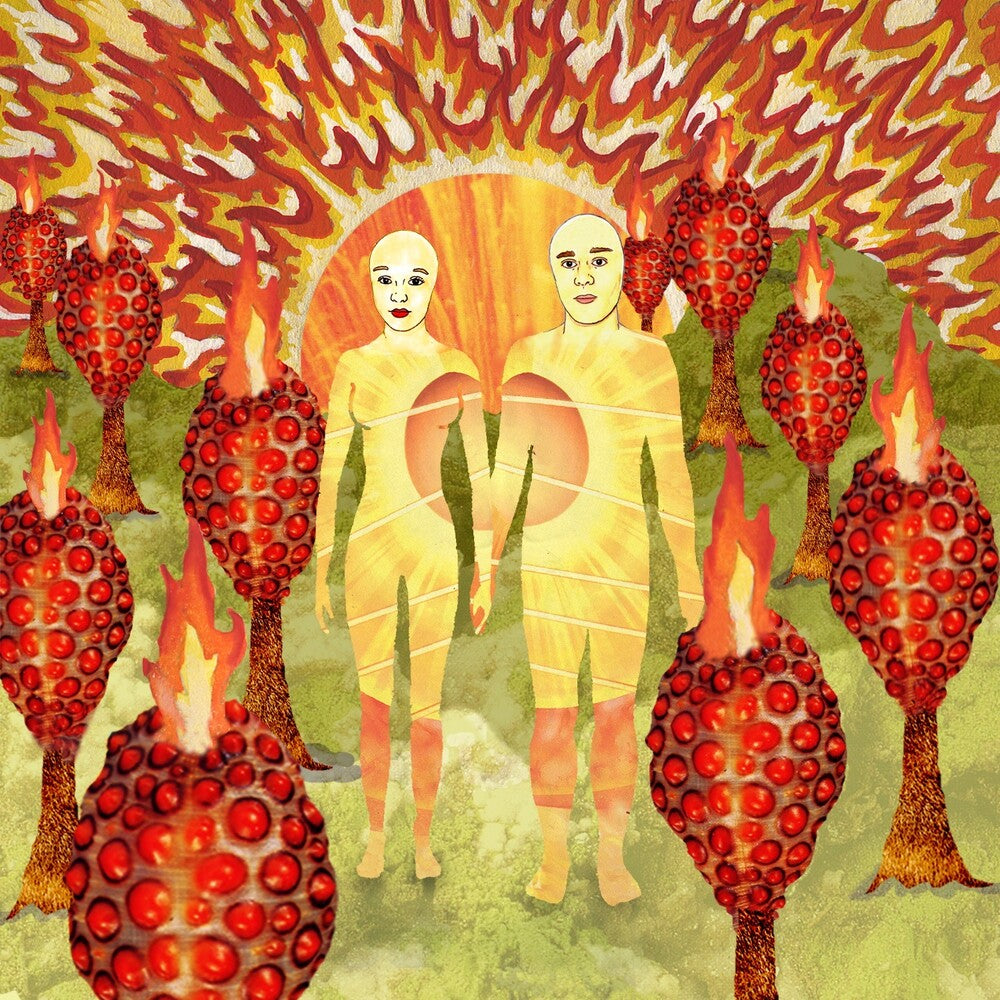 the album cover for Of Montreal - The Sunlandic Twins [Red/Orange Swirl 2LP]