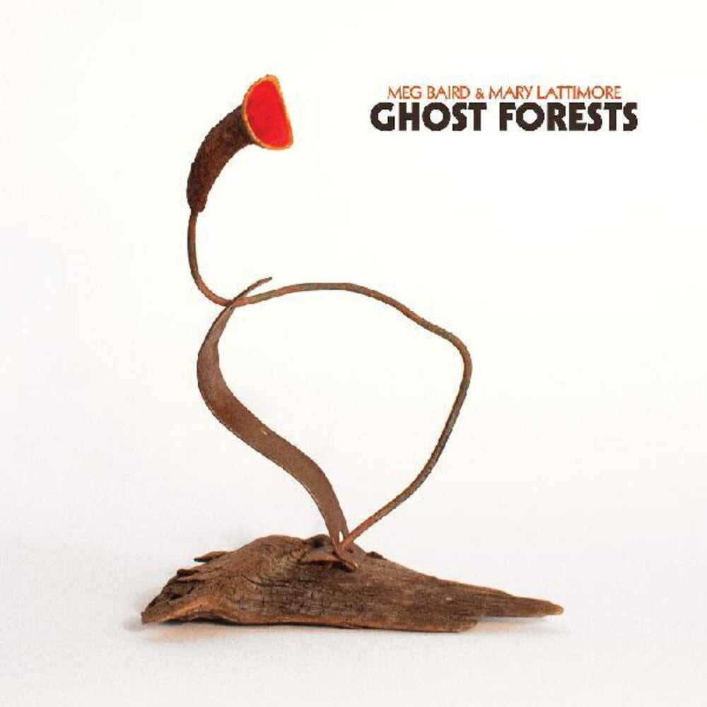 the album cover for Meg Baird  / Lattimore,Mary - Ghost Forests [Clear Vinyl] (Aus)