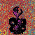 the album cover for Bardo Pond - Amanita [Limited Edition Purple 2LP]