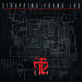the album cover for Strapping Young Lad - City (Bonus Tracks) [Colored Vinyl] [Limited Edition] (Slv)