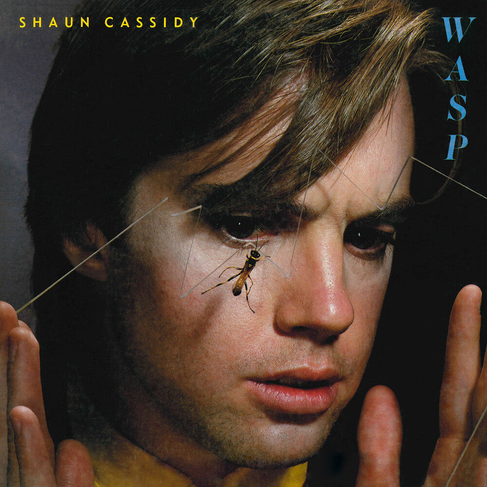the album cover for Shaun Cassidy - Wasp [RSD Drops 2021]