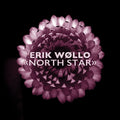 the album cover for Erik Wollo - North Star [Digipak]