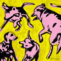 the album cover for Paul Jacobs - Pink Dogs On The Green Grass [Import LP]