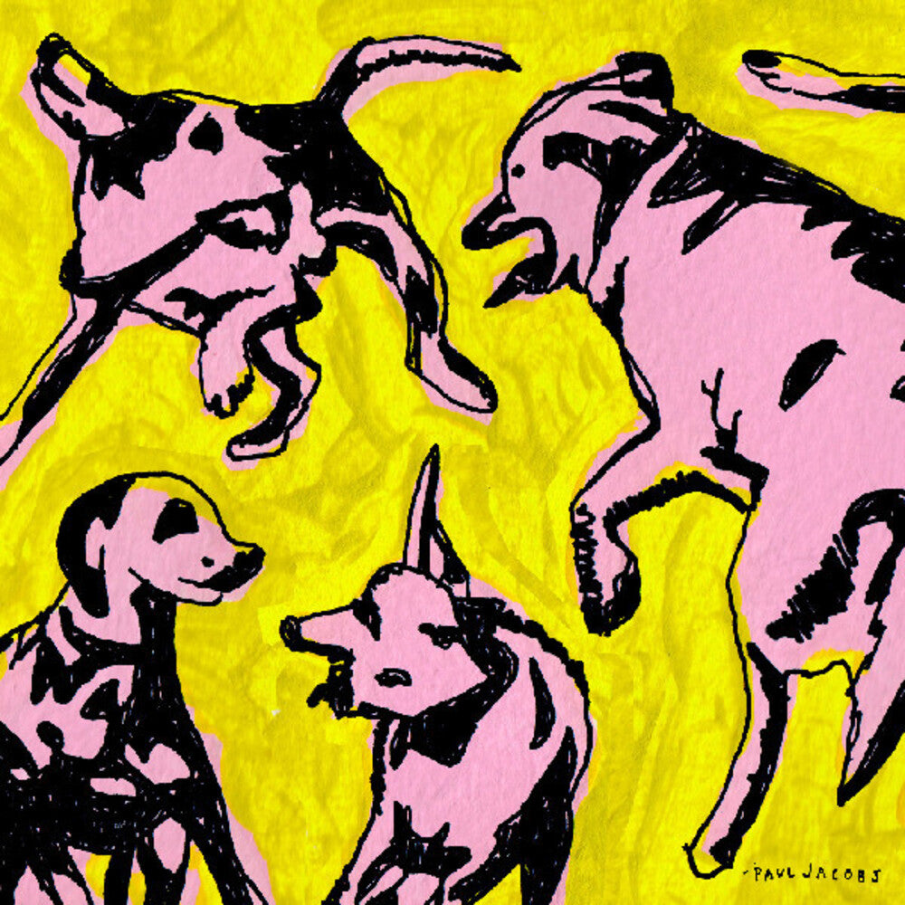 the album cover for Paul Jacobs - Pink Dogs On The Green Grass [Import LP]