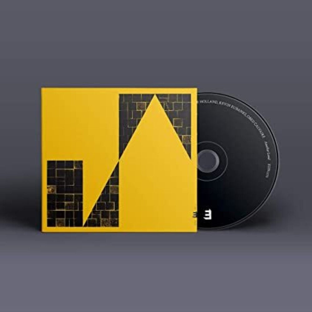 the album cover for Dave Holland - Another Land
